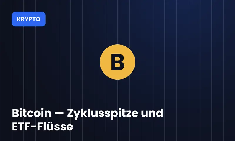 Bitcoin rekordo rinka
